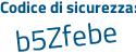 Il Codice di sicurezza è 5 poi 1e91aZ il tutto attaccato senza spazi