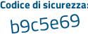 Il Codice di sicurezza è b1e segue fdcd il tutto attaccato senza spazi
