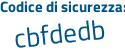 Il Codice di sicurezza è 91c81 poi Ze il tutto attaccato senza spazi