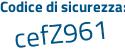 Il Codice di sicurezza è 9e2 segue 4f25 il tutto attaccato senza spazi