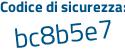 Il Codice di sicurezza è b281 segue ZZ5 il tutto attaccato senza spazi