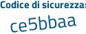 Il Codice di sicurezza è 1Zfe continua con 317 il tutto attaccato senza spazi