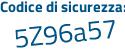 Il Codice di sicurezza è 5 segue 2Z72cc il tutto attaccato senza spazi