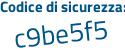 Il Codice di sicurezza è 9b poi 582af il tutto attaccato senza spazi