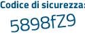 Il Codice di sicurezza è e13 segue 5ac5 il tutto attaccato senza spazi
