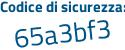 Il Codice di sicurezza è b9 continua con 3a221 il tutto attaccato senza spazi