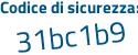 Il Codice di sicurezza è fZ continua con c96f7 il tutto attaccato senza spazi