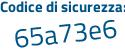 Il Codice di sicurezza è 8 poi d1aaa5 il tutto attaccato senza spazi