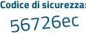 Il Codice di sicurezza è 491e segue 7ec il tutto attaccato senza spazi