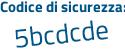 Il Codice di sicurezza è aa1 poi b9ae il tutto attaccato senza spazi