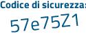 Il Codice di sicurezza è 49219af il tutto attaccato senza spazi