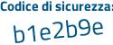Il Codice di sicurezza è Z2 segue 9d5bf il tutto attaccato senza spazi