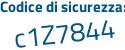 Il Codice di sicurezza è 941a continua con f9e il tutto attaccato senza spazi