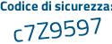 Il Codice di sicurezza è 7 continua con 2c1677 il tutto attaccato senza spazi