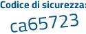 Il Codice di sicurezza è 9573 poi cb4 il tutto attaccato senza spazi