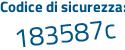 Il Codice di sicurezza è a13 poi a363 il tutto attaccato senza spazi
