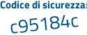 Il Codice di sicurezza è 17Zca poi 8b il tutto attaccato senza spazi