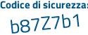 Il Codice di sicurezza è b5 continua con 7acc7 il tutto attaccato senza spazi