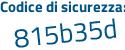Il Codice di sicurezza è b13ac segue ea il tutto attaccato senza spazi