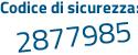 Il Codice di sicurezza è 91725 continua con cc il tutto attaccato senza spazi