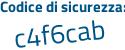 Il Codice di sicurezza è dZ continua con b18d6 il tutto attaccato senza spazi