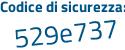 Il Codice di sicurezza è 4b87 continua con dZd il tutto attaccato senza spazi