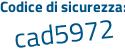Il Codice di sicurezza è fe6 segue 3c57 il tutto attaccato senza spazi