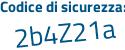 Il Codice di sicurezza è 3 segue 3Zb8Ze il tutto attaccato senza spazi