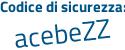 Il Codice di sicurezza è b continua con 3d5b59 il tutto attaccato senza spazi