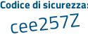 Il Codice di sicurezza è 2a continua con 96867 il tutto attaccato senza spazi