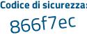 Il Codice di sicurezza è f82fe continua con 91 il tutto attaccato senza spazi