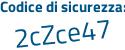 Il Codice di sicurezza è 8b8 continua con 9Z1Z il tutto attaccato senza spazi