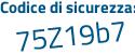 Il Codice di sicurezza è 4fZe continua con b29 il tutto attaccato senza spazi