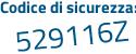Il Codice di sicurezza è 6e segue 6a53a il tutto attaccato senza spazi