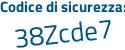 Il Codice di sicurezza è 1baa segue 33Z il tutto attaccato senza spazi