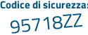 Il Codice di sicurezza è 4fb segue Za9c il tutto attaccato senza spazi