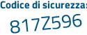 Il Codice di sicurezza è 45 continua con 72bfZ il tutto attaccato senza spazi
