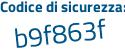 Il Codice di sicurezza è 8 poi 5e541f il tutto attaccato senza spazi