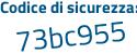Il Codice di sicurezza è 4 poi b91f5b il tutto attaccato senza spazi