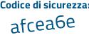 Il Codice di sicurezza è 6173dca il tutto attaccato senza spazi