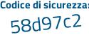 Il Codice di sicurezza è Z8 poi 58aee il tutto attaccato senza spazi