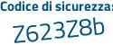 Il Codice di sicurezza è a36b4 segue 42 il tutto attaccato senza spazi