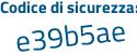 Il Codice di sicurezza è e575 segue 3e9 il tutto attaccato senza spazi