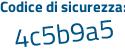 Il Codice di sicurezza è 45c2 continua con 662 il tutto attaccato senza spazi