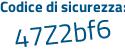 Il Codice di sicurezza è 56917 continua con 2b il tutto attaccato senza spazi