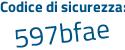 Il Codice di sicurezza è 23Z poi ffeb il tutto attaccato senza spazi