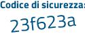 Il Codice di sicurezza è dc segue 441e2 il tutto attaccato senza spazi